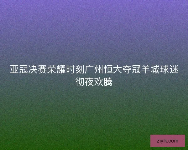 亚冠决赛荣耀时刻广州恒大夺冠羊城球迷彻夜欢腾